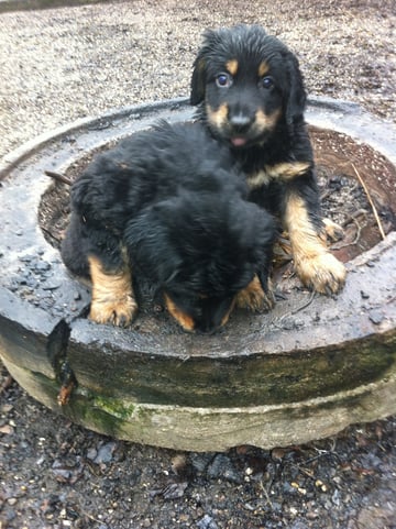 Bjarny rechts, mit Bruder Baki