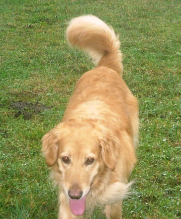 mit erwartungsvollem Herankommen