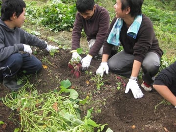 作務 収穫作業風景