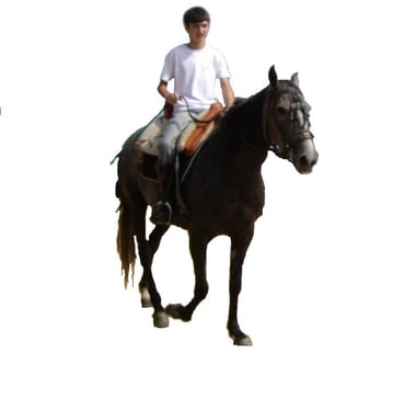 Esta es una ruta de montaña, pero muy asequible y con unos paisajes muy interesantes en cualquier época del año.