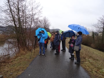 Gut gelaunt trotz schlechten Wetters (Klingnauer Stausee, 5. Febr. 2017)