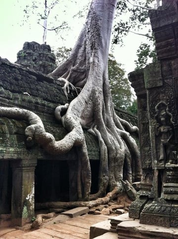 #KambodschaLive Ta Phrom