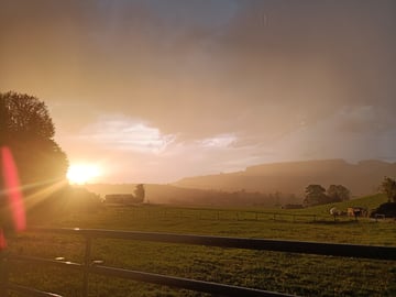 Abendstimmung über Zäziwil