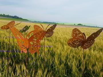 schmwtterlinge Edelrost