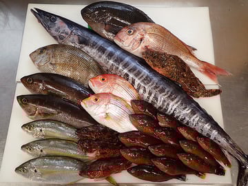 宅配寿司　出前　寿司