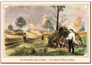 orthe, feu, foret, incendie, pignada, mirador, prevention, landes, aquitaine, etigny