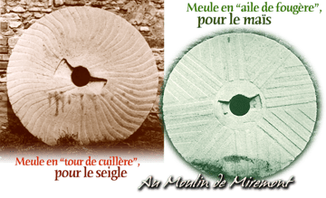 orthe, st etienne d’orthe, adour,  gave, peyrehorade, landes, aquitaine, dax, arthous, cagnotte, sorde, barthes, rasport, alose, saumon, kiwi, pedelucq, hondelatte, miremont