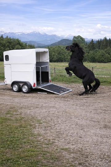 Damit Probleme gar nicht entstehen, ist NHMS die beste Prävention. Melde dich jetzt für die Seminare 2026 an.