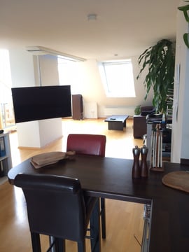 ScreenTrain,  movable TV bracket, the highlight in your home