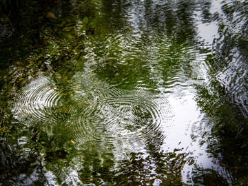 Flip Flop 1 - photo proposée par Gilliane C.