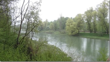 Ein Naturschutzgebiet von nationaler Bedeutung: der Auenwald im Aaretal. (Rupperswil, 5. Mai 2013)
