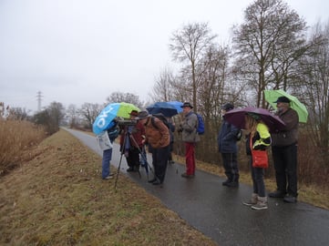 Den Eisvogel mit dem Fernrohr zu betrachten war für alle ein Highlight. (Klingnauer Stausee, 5. Febr. 2017)
