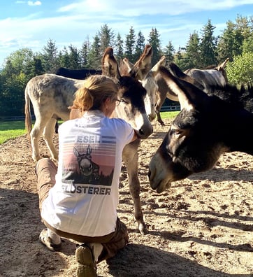 Eselwandern-Eifel-Petra-Landsberg-Bongard-NaturPur-Entschleuniger-Entschleunigung-Auszeit-Eseln-Geschichtsstraße-Gutschein-Geschenkidee-Waldübernachtung-Schäferwagen-Naturerlebnis-Abenteuer-Eselführerschein-Barsberg-Vulkaneifel-Altes-Forsthaus-Wanderroute