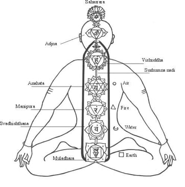 Les sept chakras.