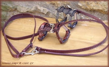Laisse pour furet martelée et accouples (2)