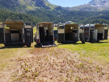 Die Breite und der Schrägverlad bieten viele Vorteile – besonders für junge Pferde.