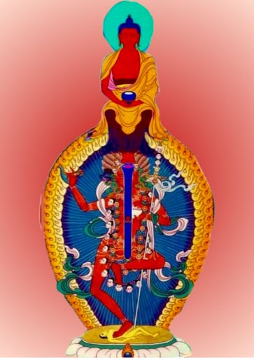 Karma Ratna Rinpoche, Drikung Phowa, Phowa, Achi Chökyi Dölma, Achi Einweihung, Vajrayana, Buddhismus, Meditation, Buddhistische Praxis