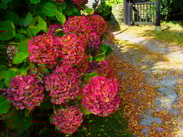 Womotravel NORMANDIE 2014: 70th D-DAY - St. Michel - Chartres - Paris    