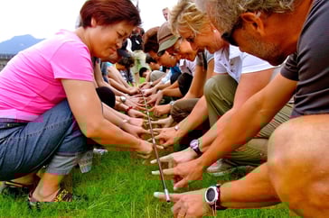 Battle of the Teams Team Building