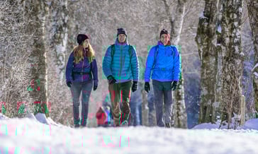 DJK-SV Winterausfahrt 2026 Silvretta Montafon Winterwanderung has-shadow | has-shadow