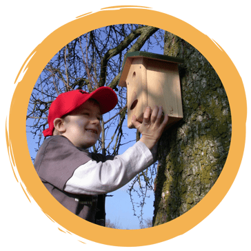 Video- und Fotobeiträge der Naturschwärmer