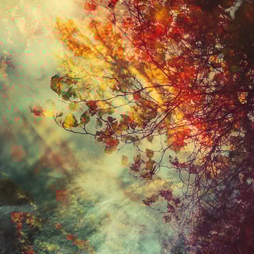 Herbstblätter, ätherisch, surreal, Doppelbelichtung, Weichzeichnung, malerisch, impressionistisch, digitale Kunst, verträumt, atmosphärisch, Naturfotografie, Fantasie, abstrakt, verschwommen, warme Farben, lebendig