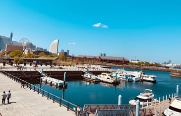 象の鼻から赤レンガ方向　上から