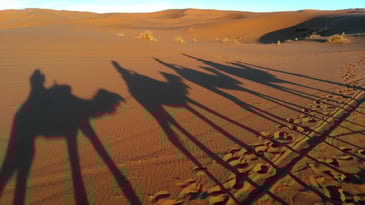 キャラバン隊の影も絵になりますね♪
