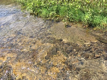 鹿沼市　いたが　せせらぎプール　リバーサイドランド　板荷