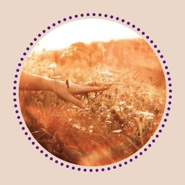 Person lässt ihre Hand durch Gras schweifen und spürt die Energie.