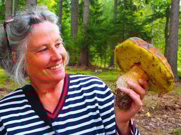 Womotravel: SCHLESIEN Herbst 2019 - BÖHMEN - STEIERMARK