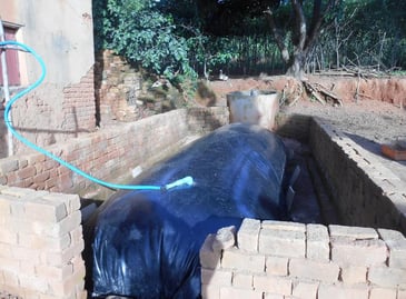 牛の糞尿から生まれたメタンガスでふくれたバイオ大ジェスター