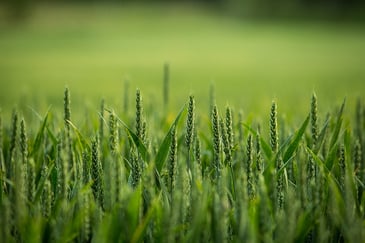 Ram Yoga / CC BY-NC 2.0