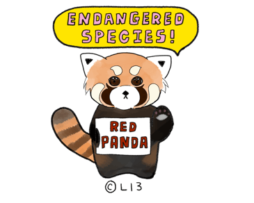 日本の動物園で人気の高い「レッサーパンダ」も実は絶滅危惧種