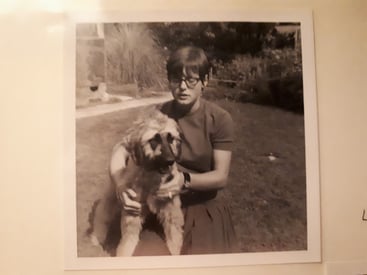 Laika, geb. 10.04.1967 - 07.09.1968