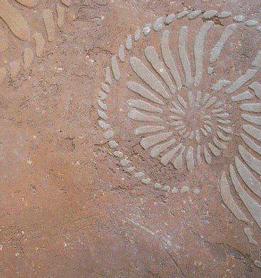 Kalkglätte mit Fossilienschablonierung