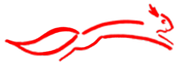 BVTKS / Bundesverband Tierkommunikation Schweiz