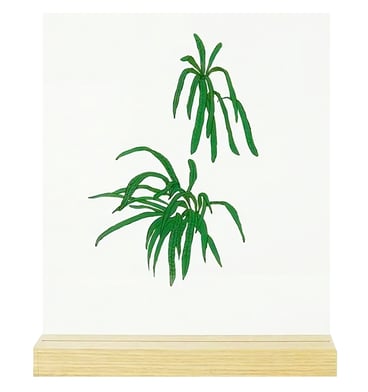 内田 ユイ「Frame: 339 ノキシノブ」