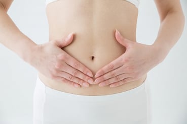 カラダに糖分が吸収されていく流れ