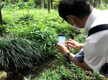 上池と下池のあいだのせせらぎ