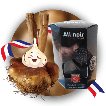 Knoblauch; Frankreich; geräuchert; Ail; noir; fume; 