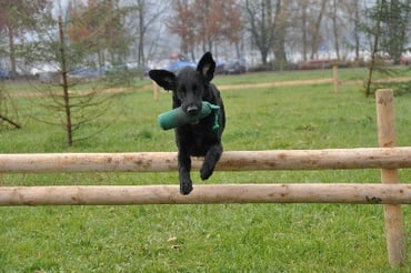 26.11.11 Christmas Trial Uster