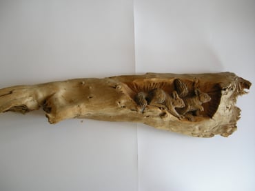 Eichhörnchen Schnitzerei