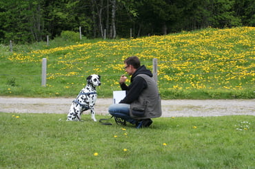 Foto: cumcane familiari