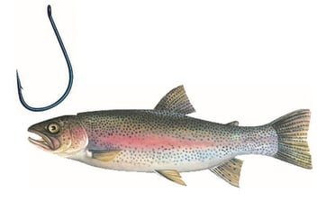 Drill Point Fishing Onlineshop Unterkategorie Angel-Zubehör / Angelhaken/Fishing Hooks, Produktangebote Angelhaken, Singlehooks, Fischerhaken, Fishinghooks, Einzelhaken. Jetzt Fischerhaken günstig online kaufen!