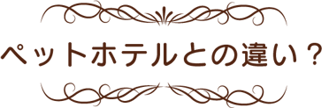 いきものがかり　ペットホテルとの違い