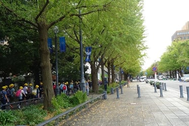 クリックして拡大