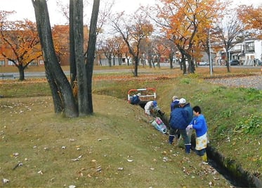 2013.11.24 (Sun) Beside Cherry Tree Avenue