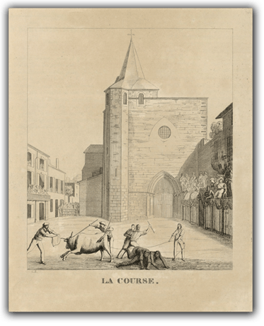 orthe, landes, aquitaine, peyrehorade, course landaise, ganaderia, sauteur, cordier, talanquère, vache