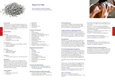 Musterseite des Praxishandbuches Analysebasierte Ernährungsberatung